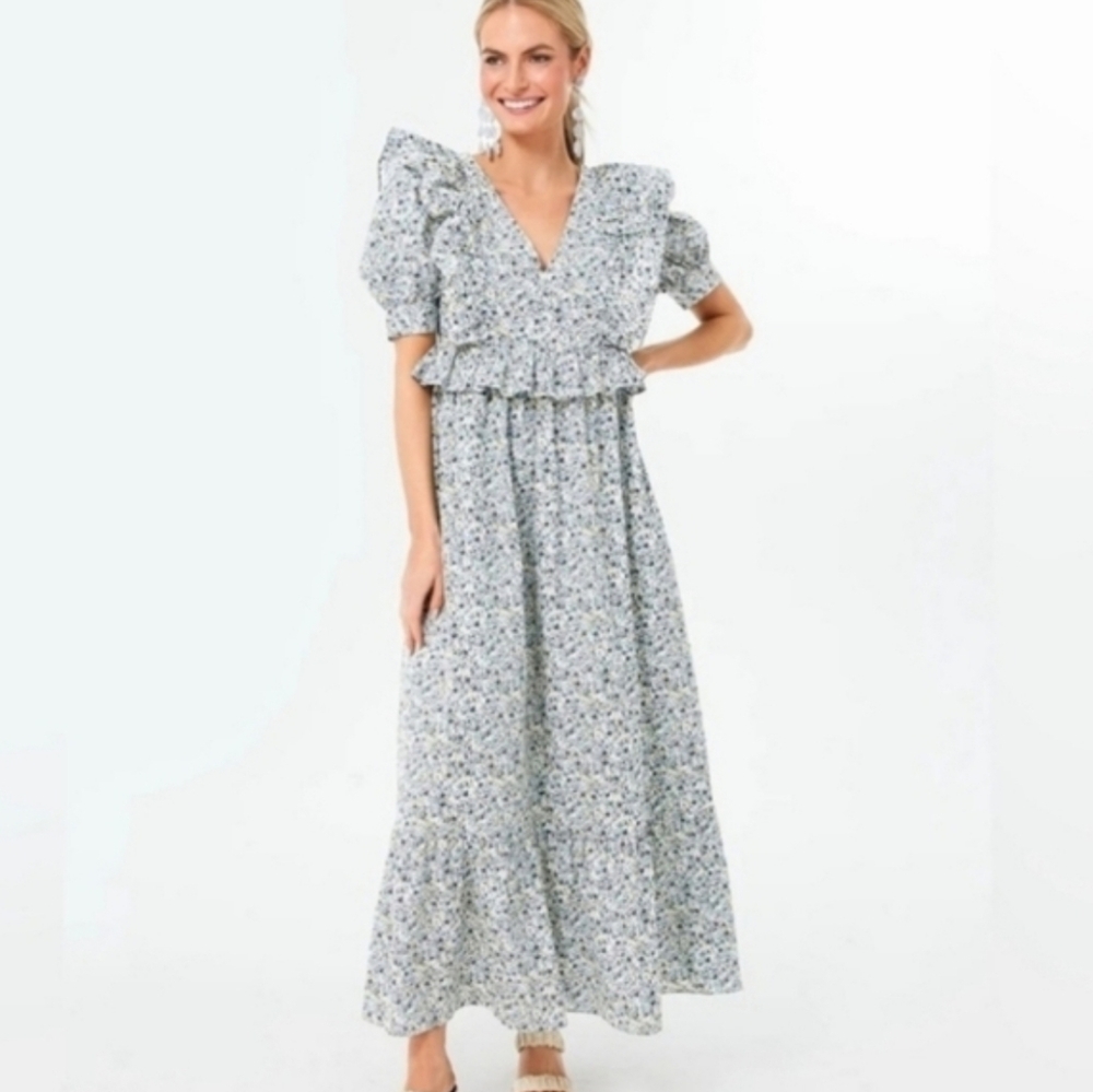 Tuckernuck Blue Floral Maxi Dress